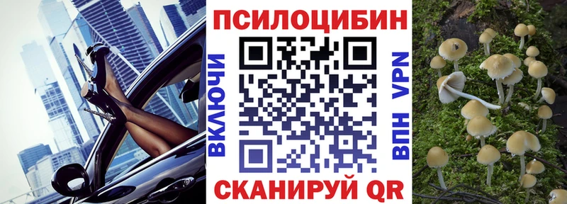 Псилоцибиновые грибы Cubensis  наркотики  Алупка 