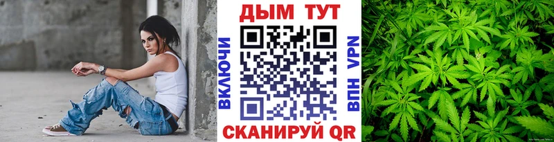 Бошки марихуана планчик  купить наркоту  Алупка 